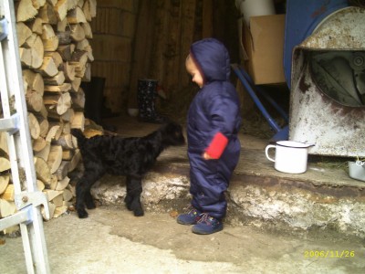 bilder221006 076.jpg