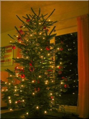 xmastree.jpg
