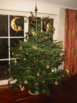 BAum1.JPG