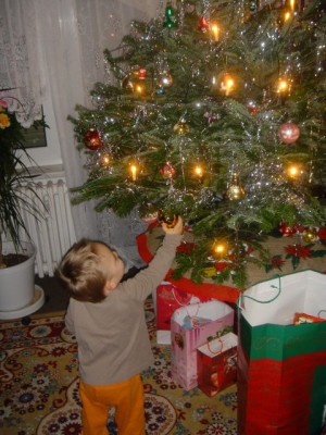 Der Weihnachtsbaum