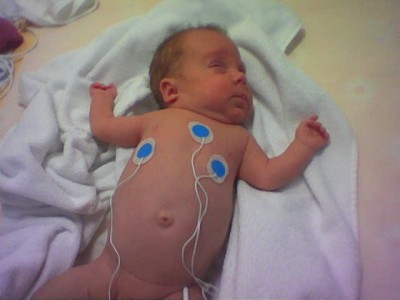 ganz schön moppelig