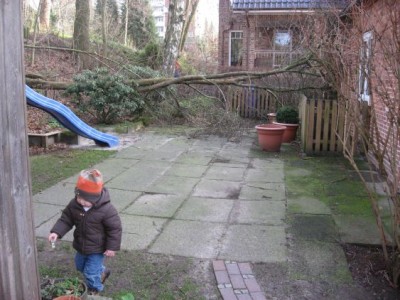 baum#2.jpg