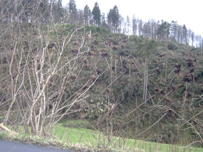 so sieht es momentan an sehr vielen Stellen aus