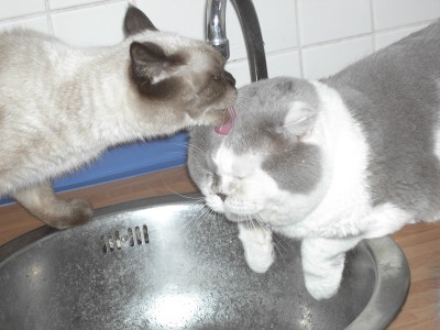 Lilly´s Mama und Papa.jpg