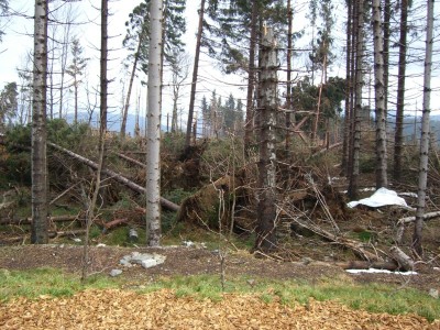Kyrill1-kl.jpg