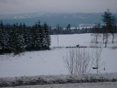 KIF_0034.JPG