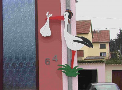 Storch bei uns.JPG