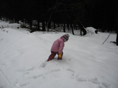 IMG_0165.JPG