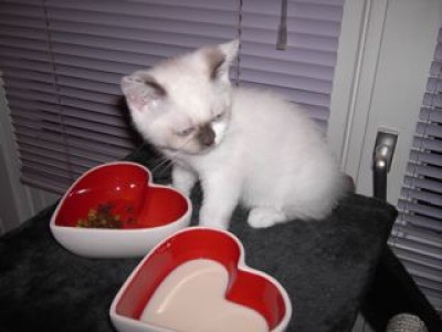 6. Stör nicht Lilly.jpg