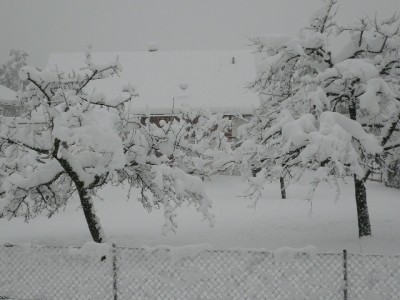 P1000623.JPG