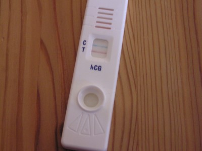 Pipitest 6.04.07.jpg