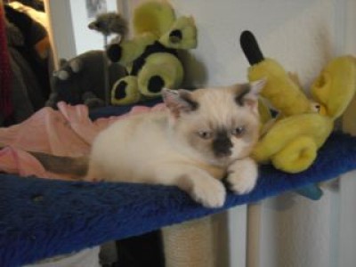 1-Lilly ganz oben-04.04.07.jpg