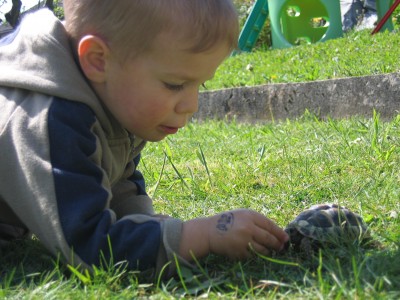 Allerdings gibt es mich nur mit meiner Schildkröte Susi, die bis dahin sicher etwas größer ist!