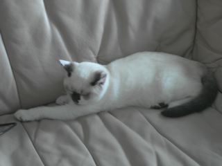 Lilly-so groß-kann-ich-mich-machen-24.04.07.jpg