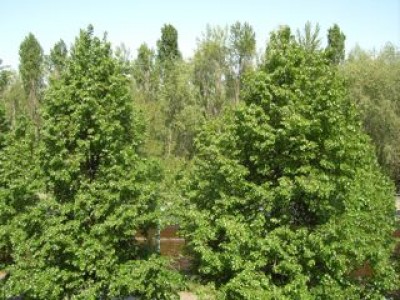 Biene´s Ausblick in Berlin2.jpg