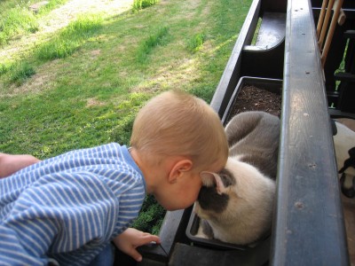 &amp;quot;Stutzebock&amp;quot; oder ist schmusen nicht schöööööööööööön?!