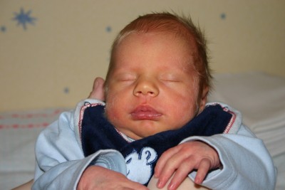 Bild 288.jpg