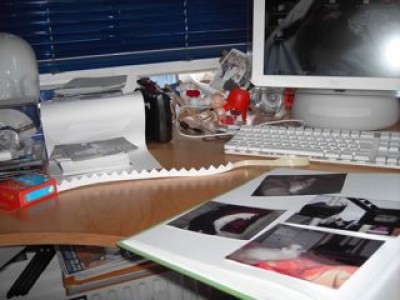Biene-bei-der-Fotoarbeit-23.05.07.jpg