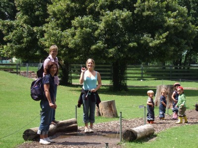 Im Streichelzoo bei den Ziegen