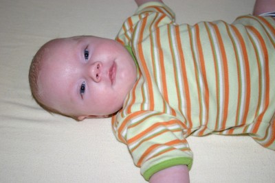Bild 313.jpg