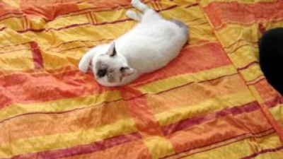 1.Lilly-August-07.jpg