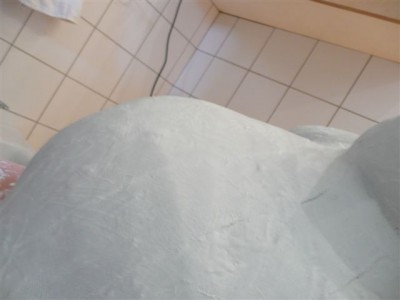 11.08.07 Gipsabdruck 35+4 (7).JPG