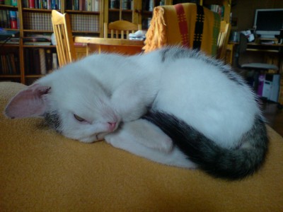 Bild 018.jpg