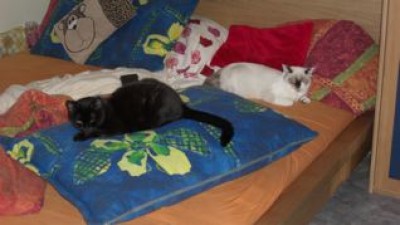 Lilly und Schwarzi.jpg