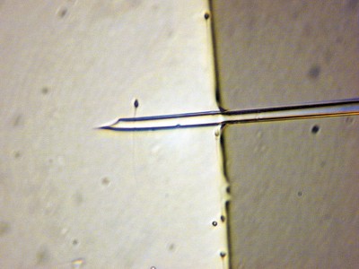 ICSI Bild 2.jpg