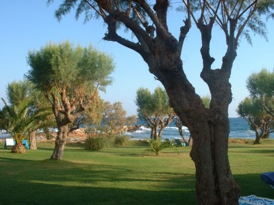 Blick von Terasse in Garten - Hintergrund das Meer