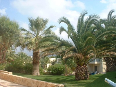 Garten am Pool