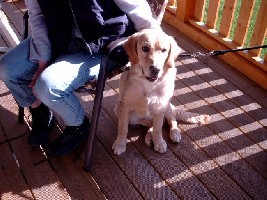 Sammy ist ganz schön groß geworden.