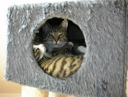 03.08.2002 - Gismo und Krümelchen 11.jpg