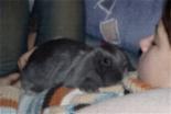 DSC01764.JPG