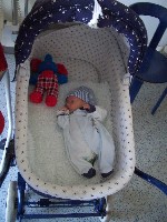 Felix im Stationswagen.JPG