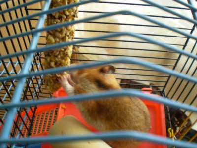 24. Dezember 126.jpg