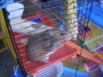 24. Dezember 132.jpg