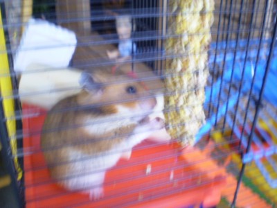 24. Dezember 137.jpg