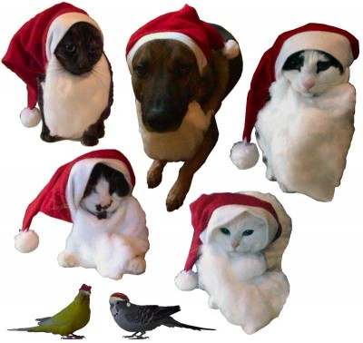 Grisu, Xaro, Felix, Fritzchen, Lea, Yella und Speedy