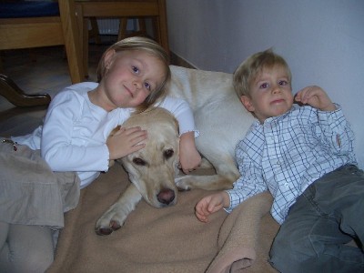 Was man als Familienhund alles aushalten muß