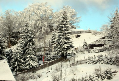100-0014_IMG.JPG