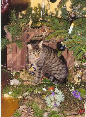 balu im krippchen.jpg