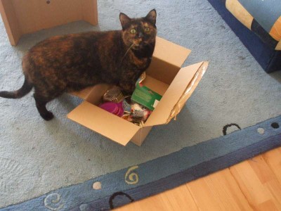 balu hilft auspacken.jpg