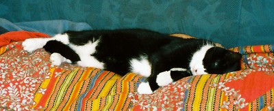 ... meine Lieblingsbeschäftigung...