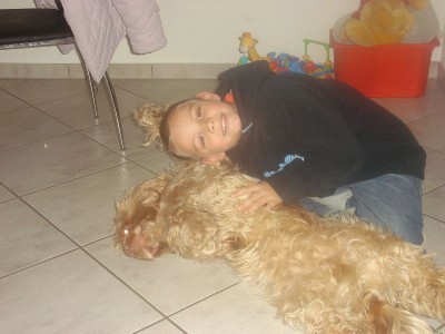 Kuschelhund