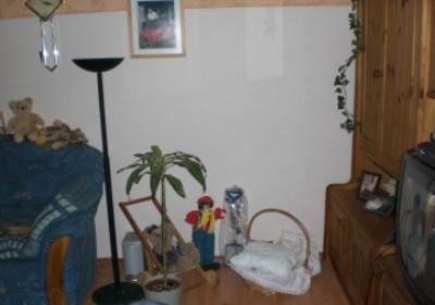 meine Babys.JPG