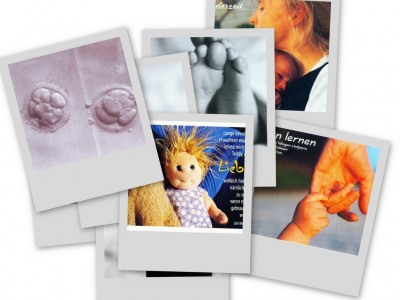 collage3.jpg