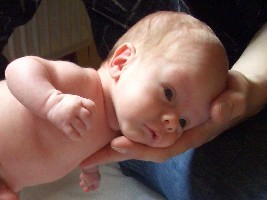 Felix auf der Hand.JPG