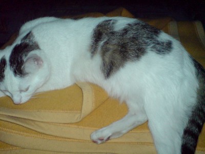 DSC00301.JPG