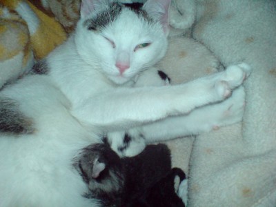 DSC00324.JPG